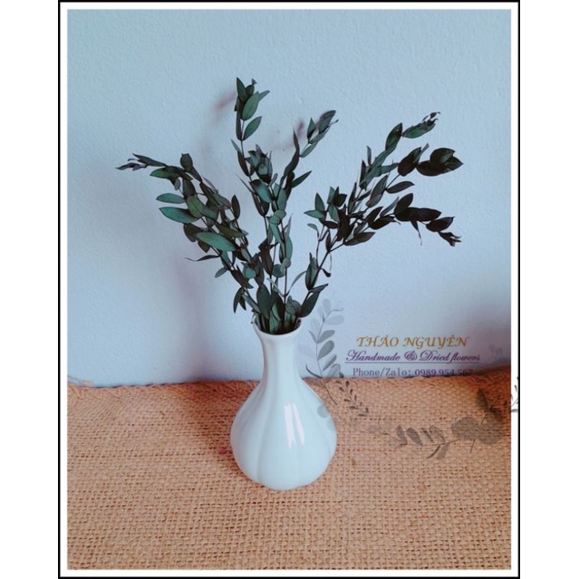 lá bạch đàn mini sấy khô ❤️ lá khô trang trí, làm thủ công, handmade...