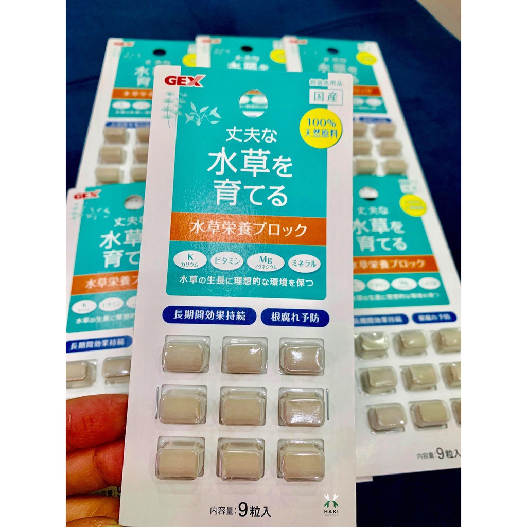 Phân Nhét Gex   | Phân Nhét Bổ Sung Dinh Dưỡng Cho Cây Thủy Sinh, giúp cây phát triển tốt hơn