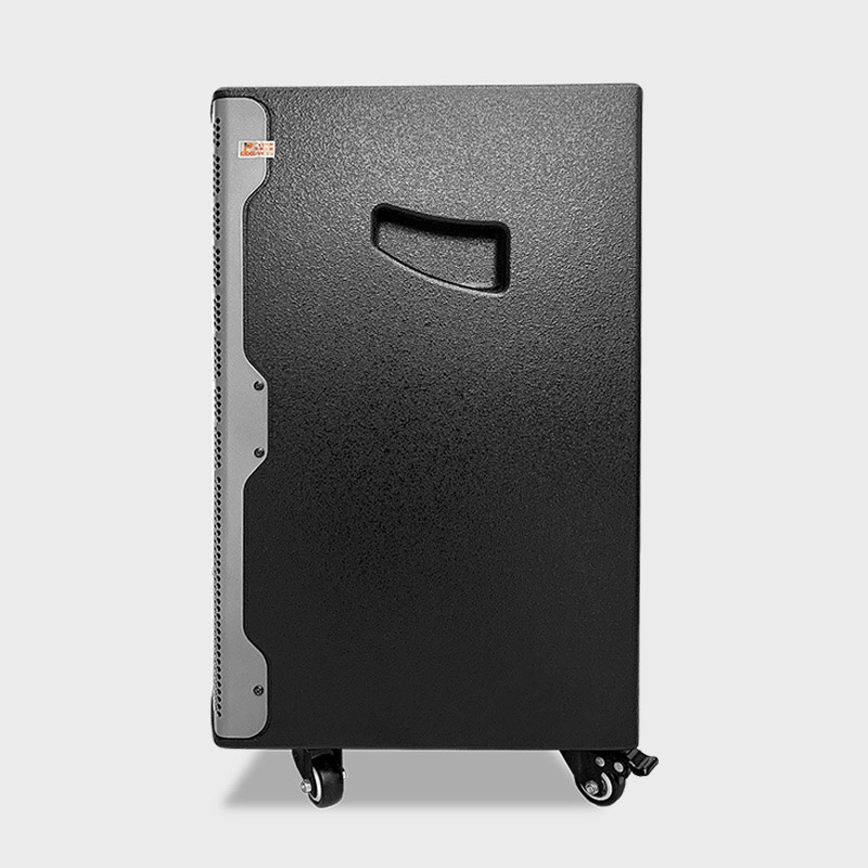 Loa kéo di động Prosing W12 Bee