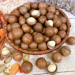 Macca Đắk Lắk