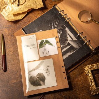 Tấm cán thẻ dán ảnh trực tiếp trong Album có lớp màng bảo vệ 14x21cm