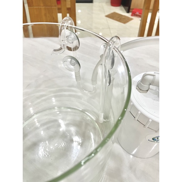 Combo bể cá thuỷ tinh hình trụ tròn kèm bộ lọc cao cấp - để bàn - trang trí decor