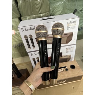 Loa karaoke Peterhot A100, 2 mic bluetooth sịn sò, Bảo hành 1 đổi 1
