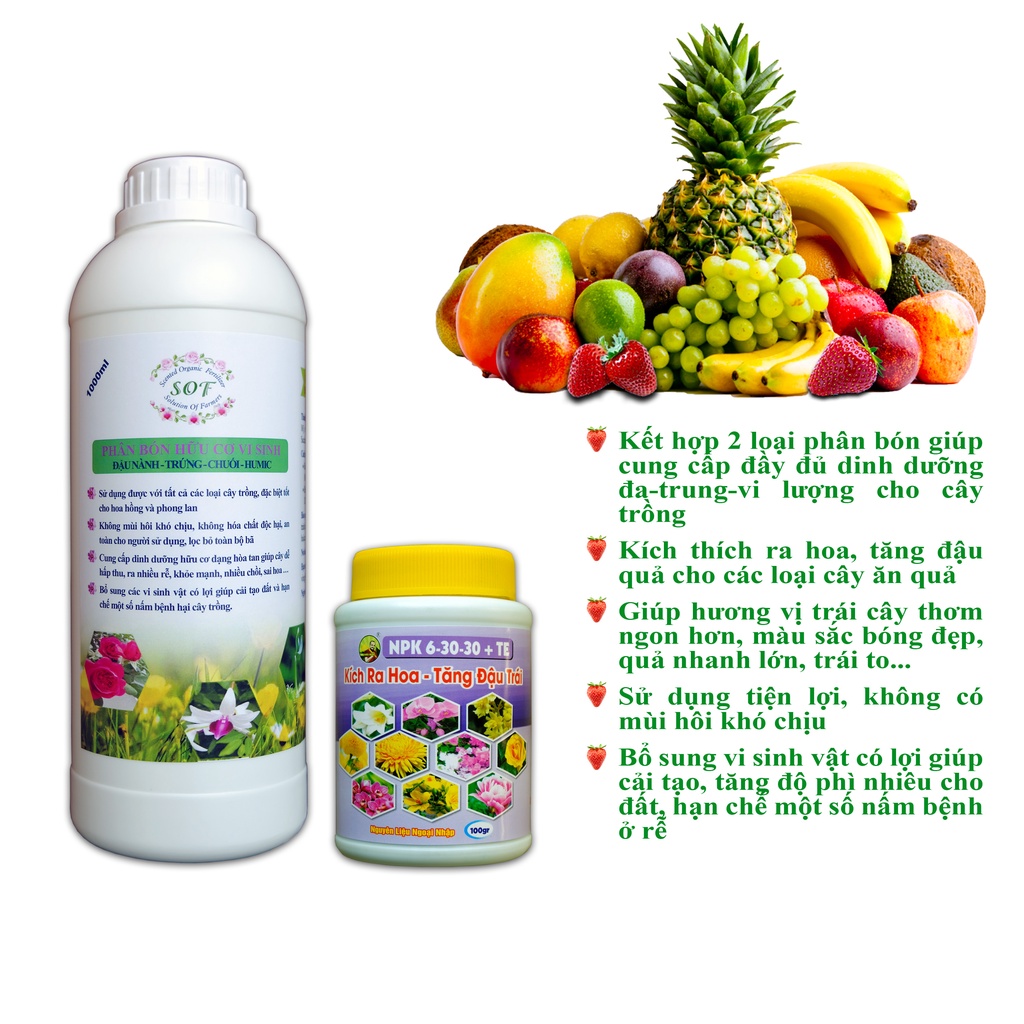 Phân bón hữu cơ cho cây ăn quả dâu tây, cà chua, chanh, ớt, quất, sung mỹ, lựu, nho, khế…