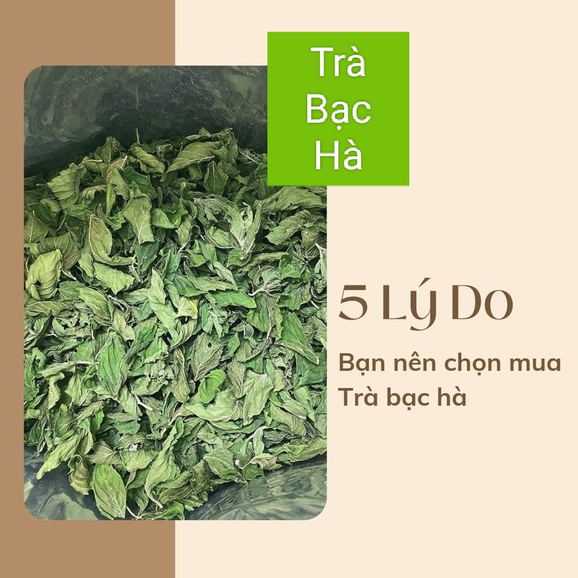 Trà bạc hà (Lá bạc hà) sấy khô 100% tự nhiên trực tiếp sản xuất không qua trung gian vị thơm the mát sảng khoái