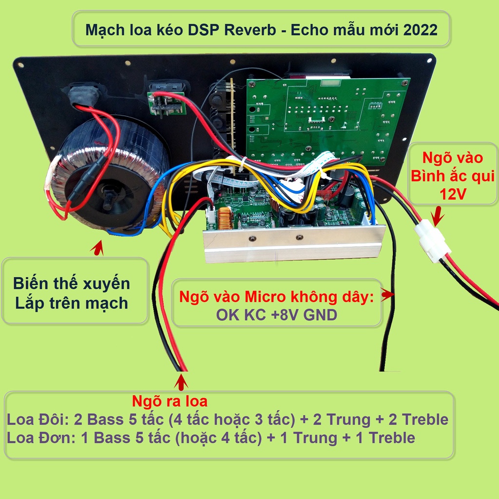 Mạch loa kéo Reverb DSP chạy FET công suất 200W 8 ôm – 400W 4ôm 3 4 5 TẤC ĐÔI   kèm mic