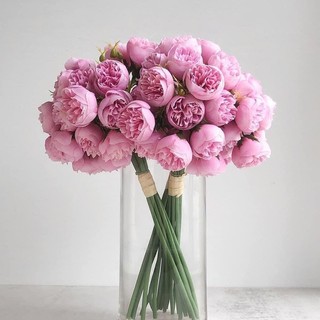 BÓ 27 BÔNG HOA LỤA TRANG TRÍ