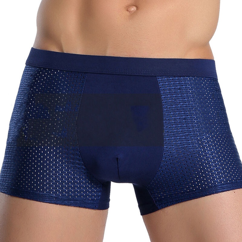 Quần Lót Boxer Dạng Lưới Mỏng Thoáng Khí Thời Trang Mùa Hè Cho Nam