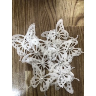 Bộ b ướm đính ngọc