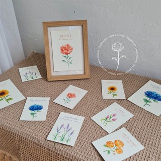 Thiệp Hoa Màu Nước (Watercolor Flower) - Bộ 6 màu