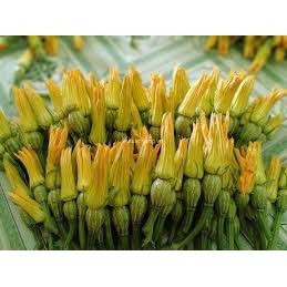 Hạt giống bí siêu nụ, siêu ngọn F1 Thái Lan 20 hạt 1 gói