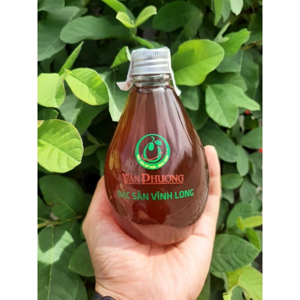 NƯỚC CỐT BƯỞI NĂM ROI VÂN PHƯỢNG - Đặc sản Vĩnh Long