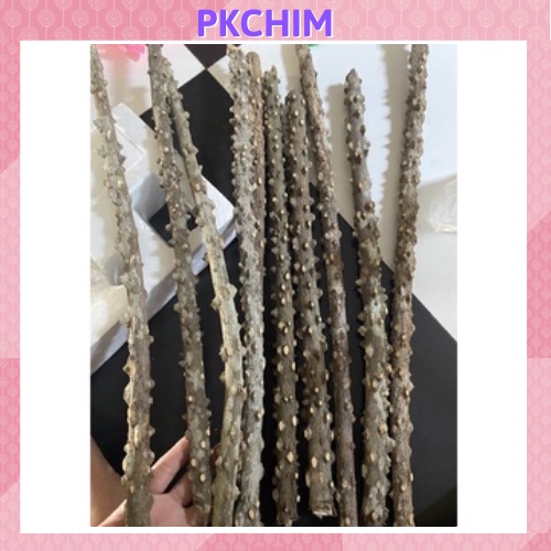 Cầu đứng Pkchim cầu gạo thẳng nhiều mắt phụ kiện lồng chim
