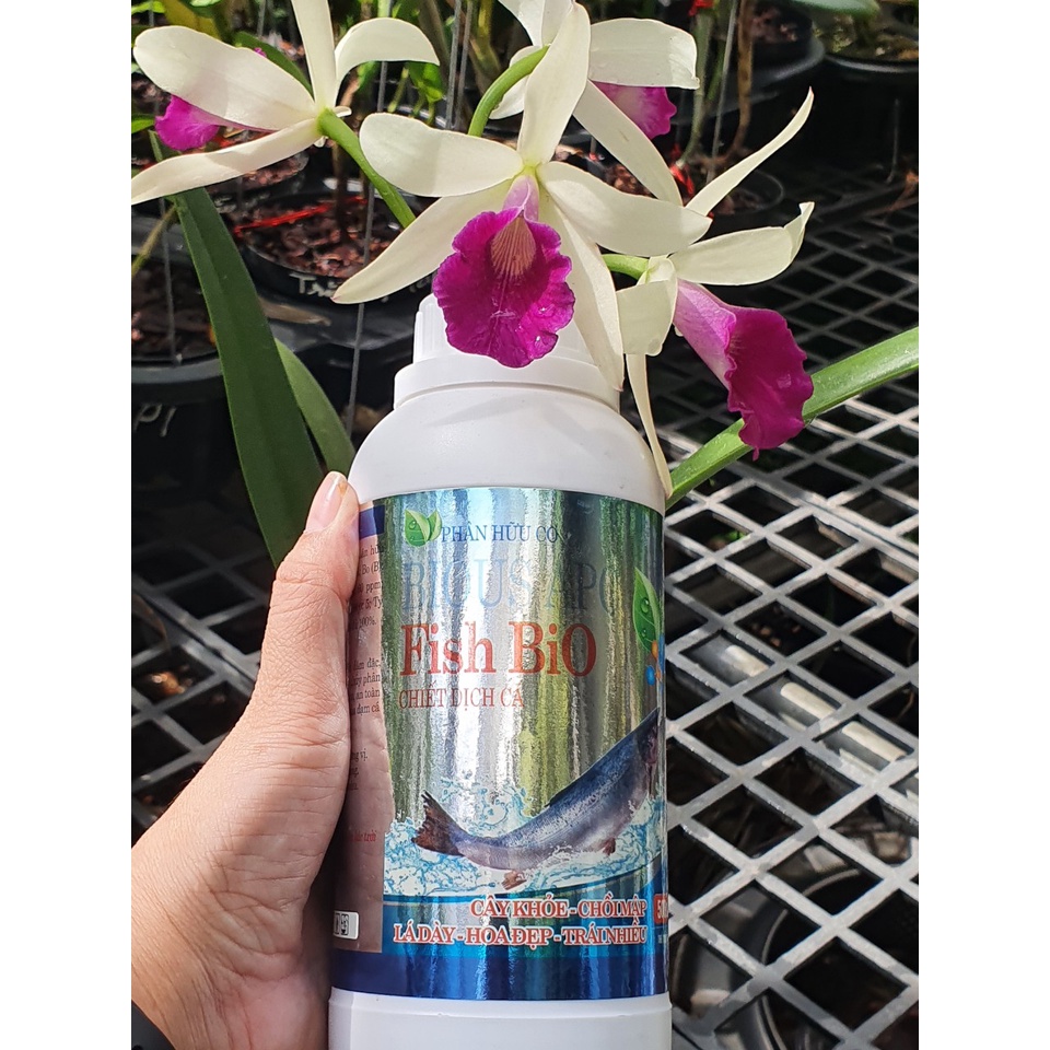 FISH BIO PHÂN CÁ KHÔNG MÙI THỂ TÍCH 500ML  -Mai Huy