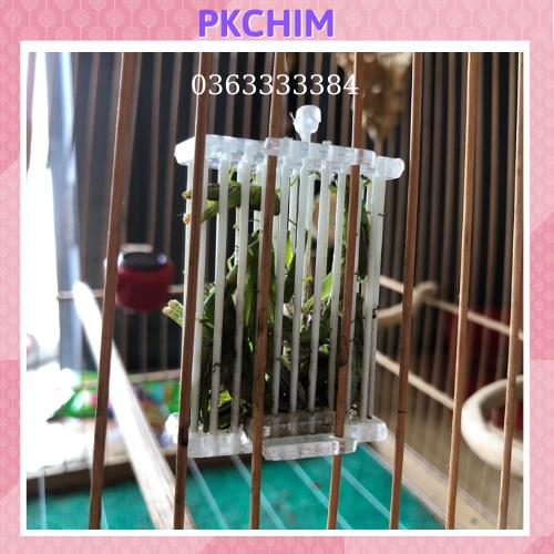 Rọ đựng cào cào chào mào,rọ đựng dế chim chào mào Pkchim phụ kiện chim cảnh