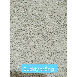 Cát Buddy lót chuồng hamster thỏ bọ nhím sóc