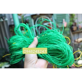 Lưới làm giàn leo cho tất cả cây thân leo