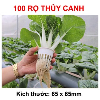  100 Rọ trồng rau thủy canh 65 x 65mm  nhựa  | Thủy Canh Cần Thơ 