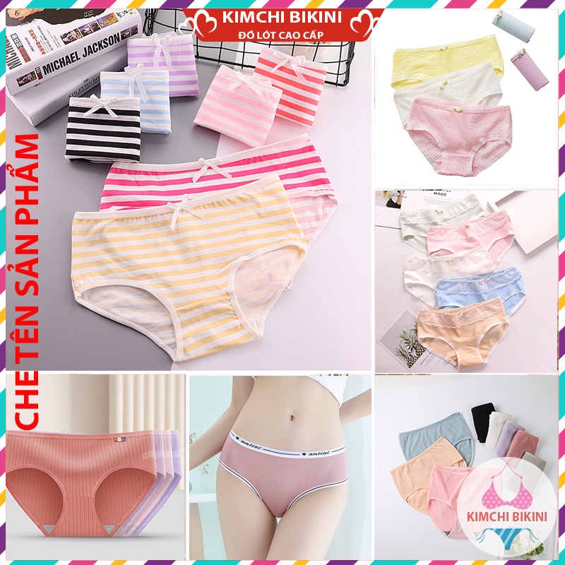 quần lót nữ viền ren vải mềm chống viêm nhiều màu sắc mẫu mã đa dạng KIMCHIBIKINI quần chip nữ xinh đẹp QL161