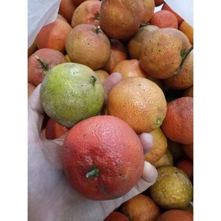 Chanh đào nhà trồng/1kg