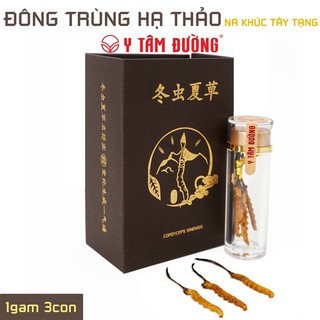 Đông trùng hạ thảo Na Khúc, Tây Tạng - Loại 3con 1gam