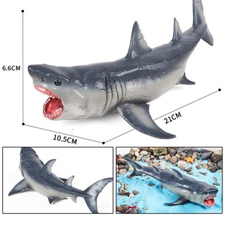 Megalodon Đồ trang trí Cá Mập Trắng Đồ Chơi Cho Bé