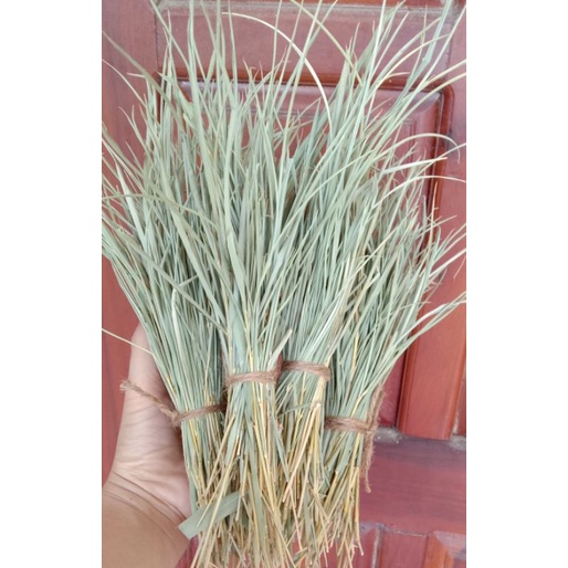 Trà lá tre gai/ Trúc diệp quyển tâm hữu cơ