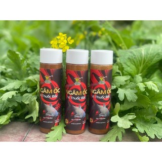 Ngâm Ốc Vị Thuốc Bắc