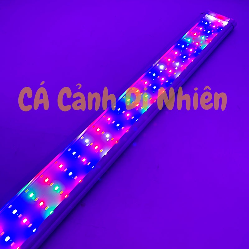 Đèn LED máng kẹp thành hồ cá 6 dãy đèn ĐỔI MÀU WRGB KK-6D-120 cho hồ 120-135 cm KK 6D 120