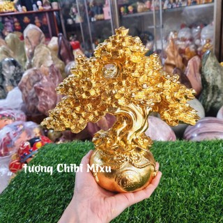 Cây Kim Tiền - cây Tài Lộc mạ ánh vàng - phát tài phát lộc 24cm