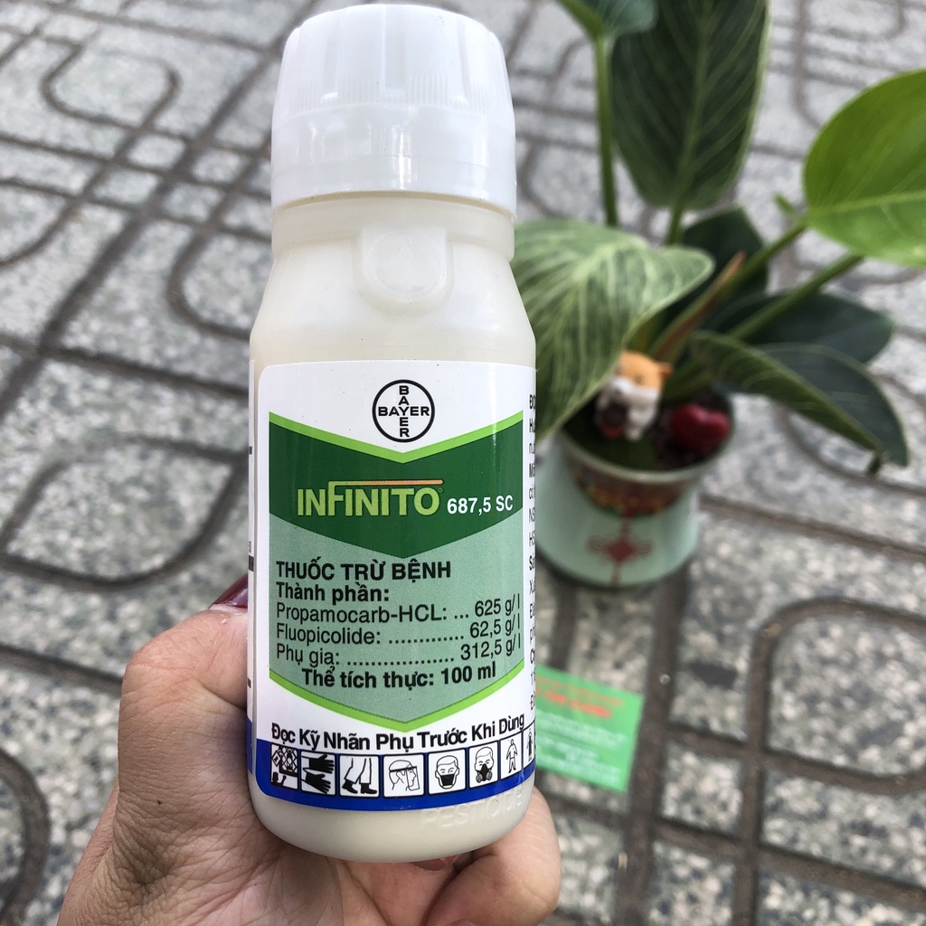 Chế phẩm chuyên trừ thối quả trên cà chua INFINITO 687.5SC 100ml