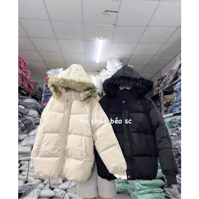 Áo phao béo cho nữ hàng đẹp có ảnh thật