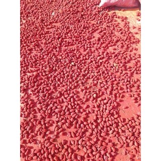 Nghệ Đỏ Sài Gòn Nguyên chất