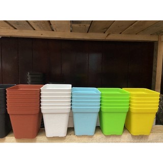 Chậu nhựa đủ màu