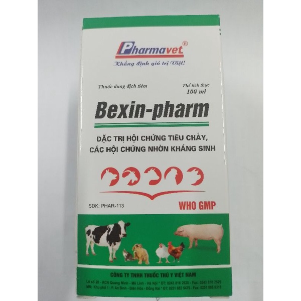 Bexin pharm qui cách 20ml hsd 01/10/2024