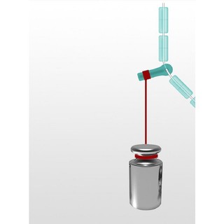 ( sét 5 vỉ ) hạt chặn silicon cao cấp