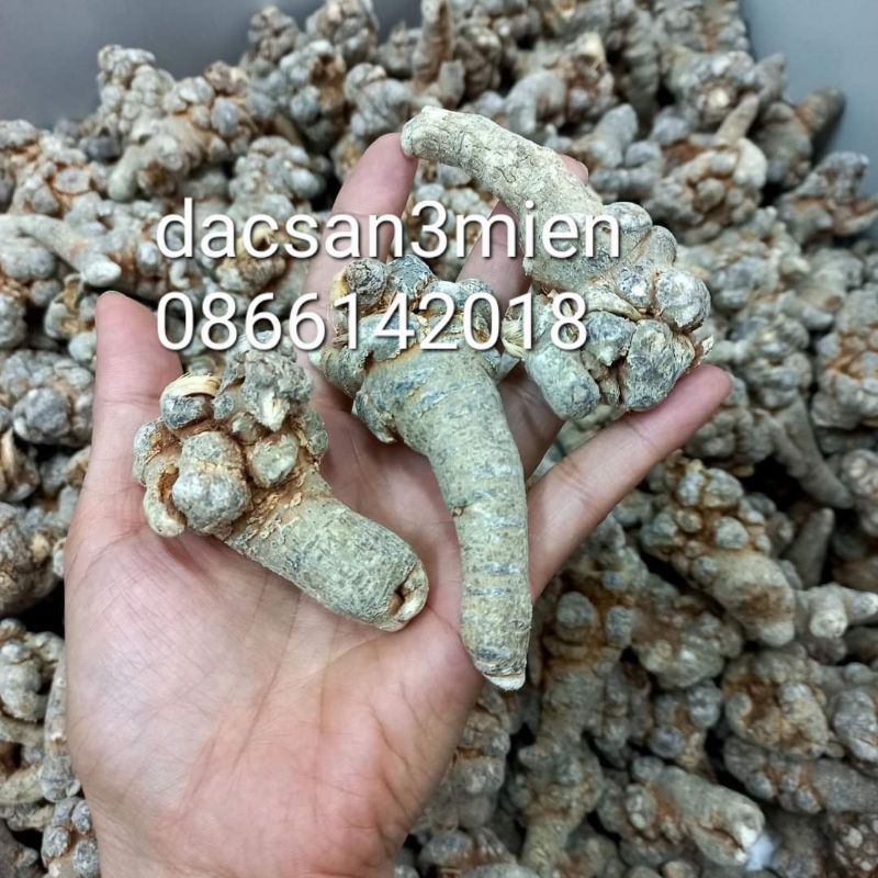 Tam thất bắc củ 52 70 90