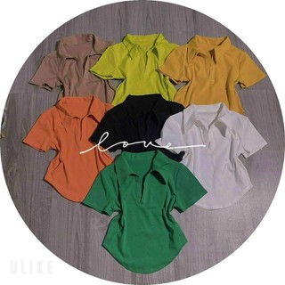 [FREESHIP-GIÁ SỈ XƯỞNG ] áo cổ bẻ 💥 áo cổ trụ chất vải borip đẹp