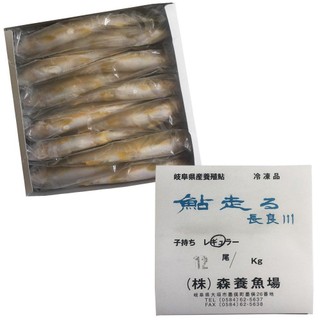Cá ayu nhật bản size 1kg