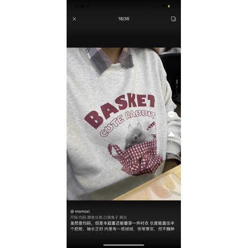 •PRE-ORDER•  SWEATER SHIRT HÌNH GẤU THỎ