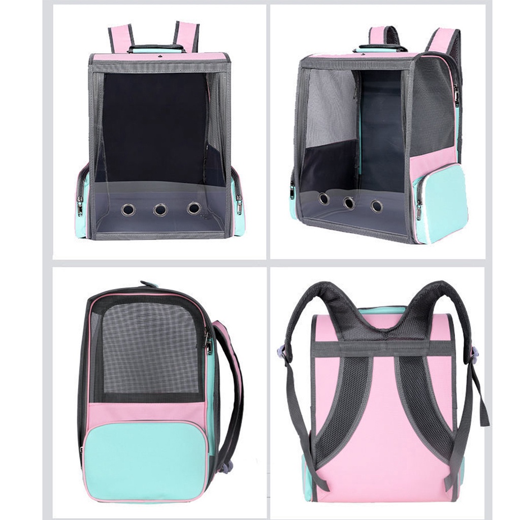 Có thể bán buôn Ba lô mèo Phong cách dễ thương nhẹ di động Lưới du lịch thoáng khí mang vật nuôi cho Mèo con chó Virgina056 Hàng giao ngay