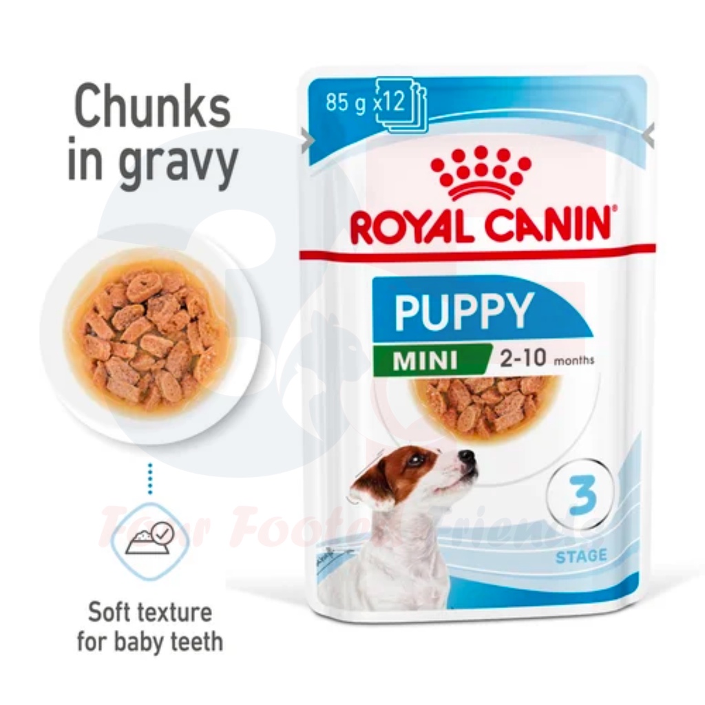 Pate Thức Ăn Ướt Dành Cho Chó Con Giống Nhỏ Royal Canin Mini Puppy Dạng Sốt - Gói 85gr