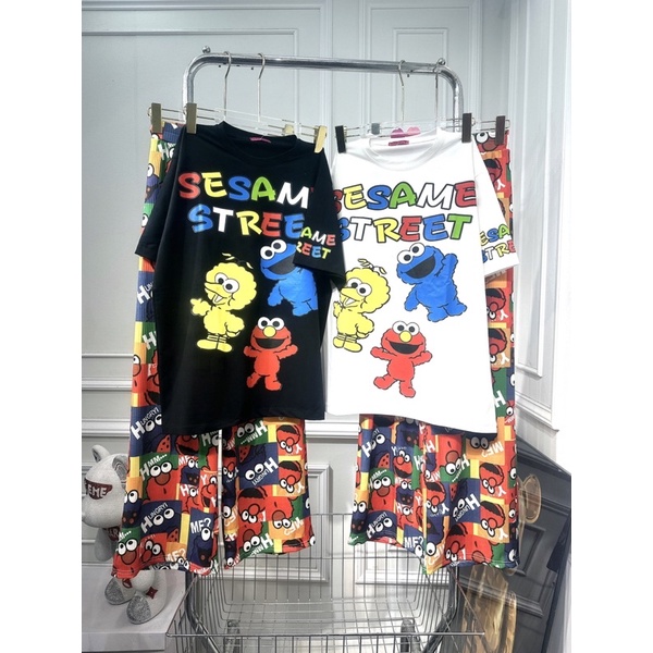 Set áo cotton hoạt hình Sesam Street đáng yêu- Set quần suông áo thun cao cấp - HN Closet
