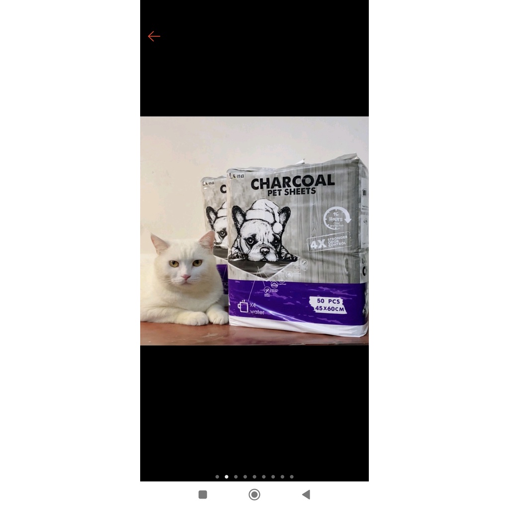 LÓT THAN HOẠT TÍNH CHARCOAL MÙI NHO CHO THÚ CƯNG