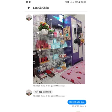 Tấm lưới sắt Sơn tĩnh điện,tấm nhựa  ghép làm kệ để quần áo,túi xách,kệ giày ...)