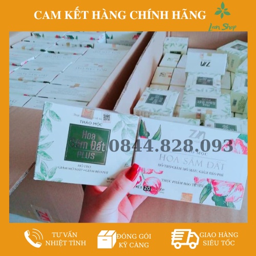 Trà Giảm Cân Hoa Sâm Đất Zn (Chính hãng - Date Mới)
