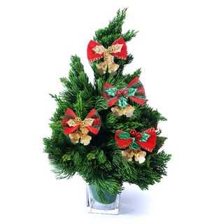 Gấu bông trang trí giáng sinh, noel, cây thông