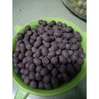 1 kg hạt giống sen ta
