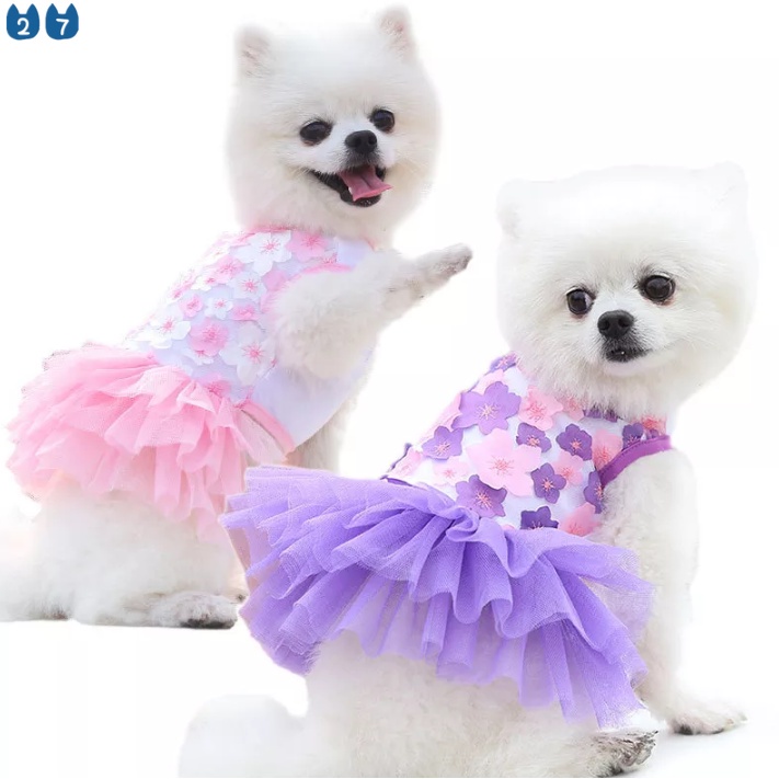 (MớI) Đầm CướI 27 Món Cho Thú Cưng