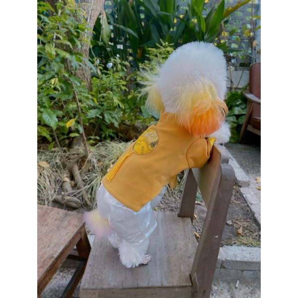 Áo đồng tiền tua rua/Áo dài Tết cho chó mèo